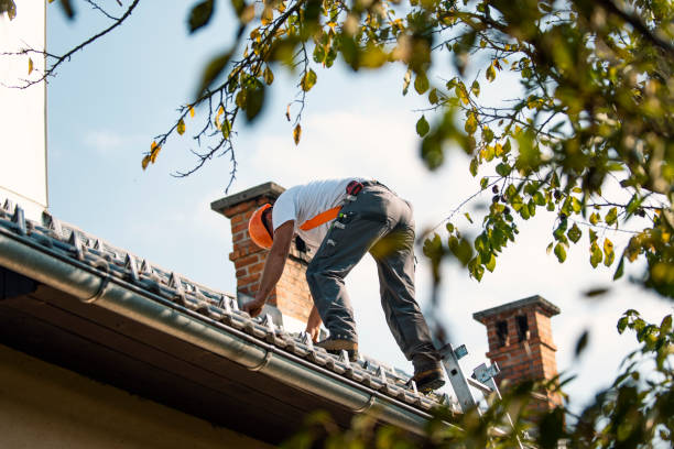 Best Metal Roofing Contractor  in Triana, AL
