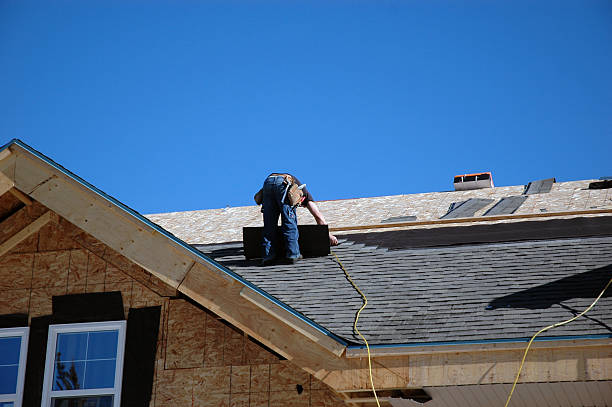 Best Roof Gutter Cleaning  in Triana, AL