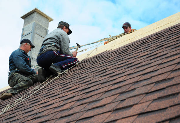 Best Commercial Roofing Services  in Triana, AL